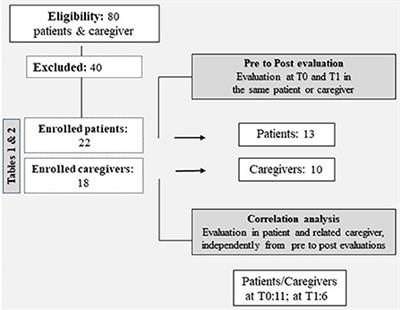 Feasibility of telepsychology support for patients with advanced cardiorespiratory diseases and their caregivers